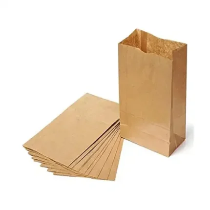 #10 KRAFT PAPER BAG