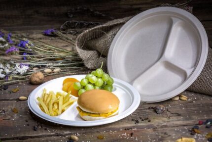 9" ROUND 3 COMP. BAGASSE PLATE
