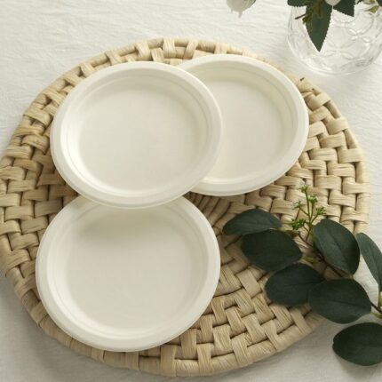 6" ROUND BAGASSE PLATE